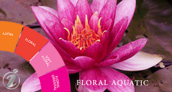 Floral Aquatic Fragrances