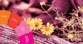 Illustration representing Floral Woody Musk Fragrances