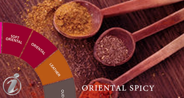 Ambery Spicy Fragrances - Shop inspired-by fragrances at Fragrenza