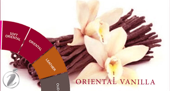 Ambery Vanilla Fragrances