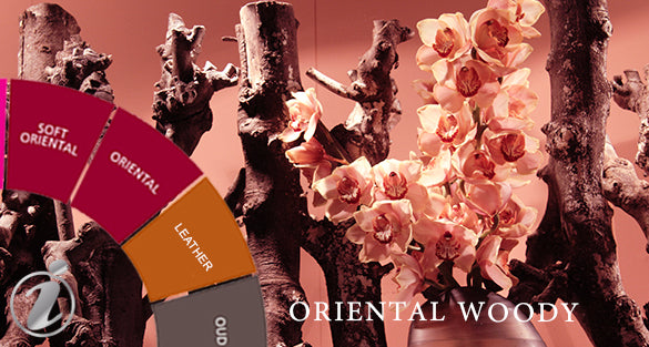 Ambery Woody Fragrances