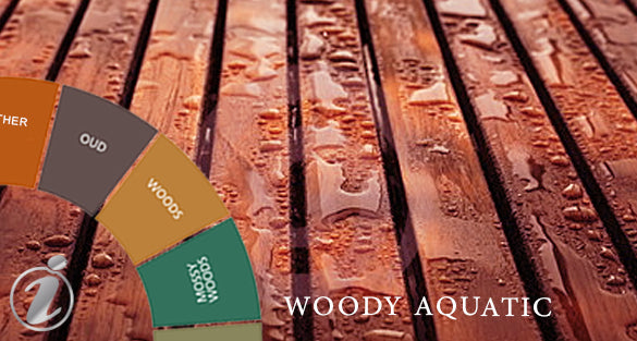 Woody Aquatic Fragrances