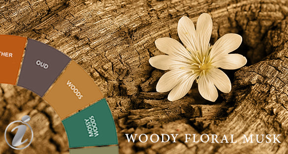 Woody Floral Musk Fragrances