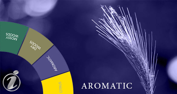 Sicilia — Aromatic Fragrances