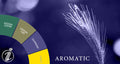 Illustration representing Aromatic Fragrances