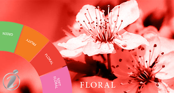 Floral Fragrances
