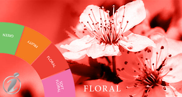 Mondo di Fantasia by Fragrenza Floral Fragrances dupe