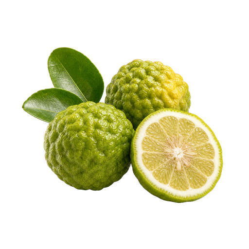 Bergamot Fragrances