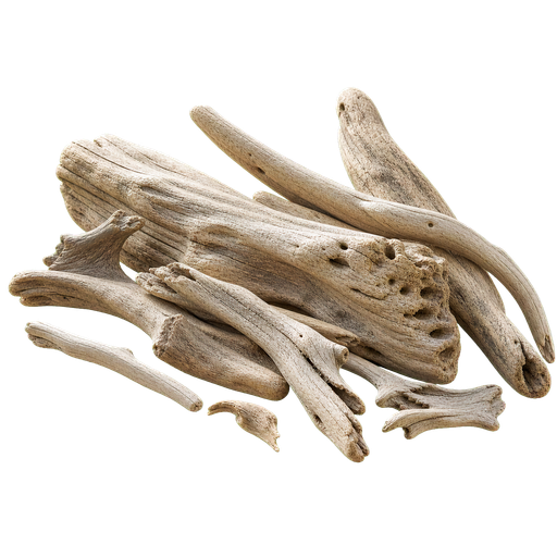 Driftwood note