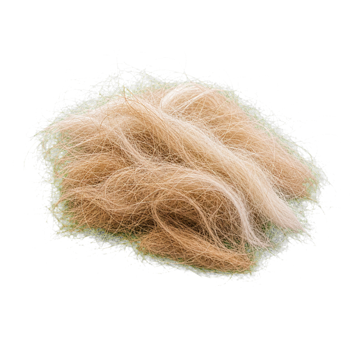 Goat hair note