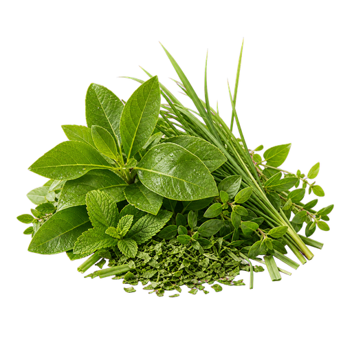 Green Notes note