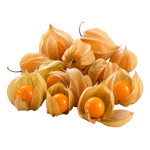 Ground Cherry note