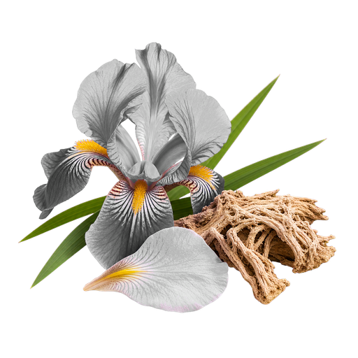 Iris note