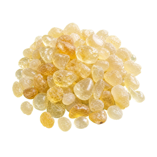 Mastic (Lentisque) note