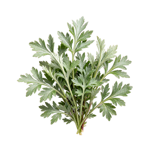 Mugwort note
