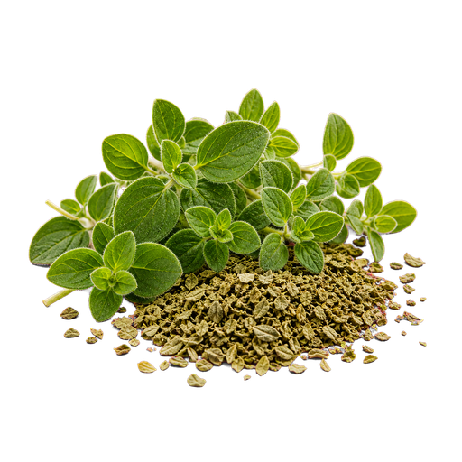 Oregano note