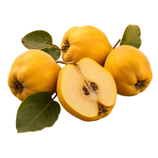 Quince Fragrances