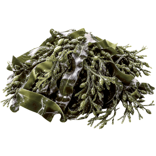 Seaweed note