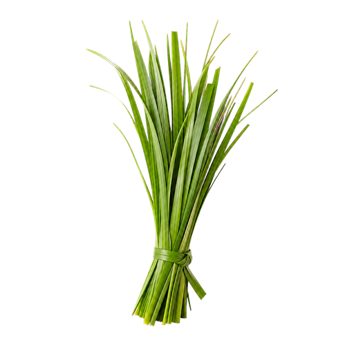 Sweet Grass note