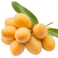 Marian Plum Fragrances - Shop inspired-by fragrances at Fragrenza