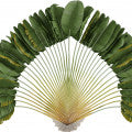 Ravenala Fragrances - Shop inspired-by fragrances at Fragrenza
