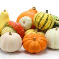 Squash
