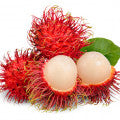 Rambutan Fragrances - Shop inspired-by fragrances at Fragrenza