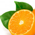 Mandora Fragrances - Shop inspired-by fragrances at Fragrenza