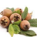 Medlar