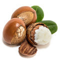 Shea Nuts Fragrances - Shop inspired-by fragrances at Fragrenza