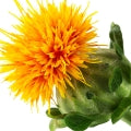 Safflower Fragrances - Shop inspired-by fragrances at Fragrenza