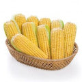 Corn Fragrances - Shop inspired-by fragrances at Fragrenza