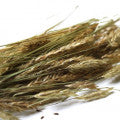 Flouve Fragrances - Shop inspired-by fragrances at Fragrenza