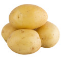 Potato Fragrances - Shop inspired-by fragrances at Fragrenza