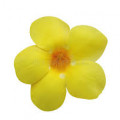 Yellow Bells Fragrances - Shop inspired-by fragrances at Fragrenza