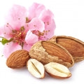 Almond Blossom