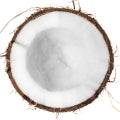 Illustration representing Coconut Fragrances