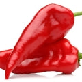 Pimento Fragrances - Shop inspired-by fragrances at Fragrenza