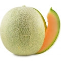 Illustration representing Melon Fragrances