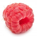 Raspberry Fragrances
