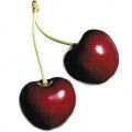 Black Cherry note