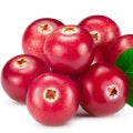 Red Berries Fragrances - Shop inspired-by fragrances at Fragrenza