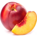 Illustration representing Nectarine Fragrances