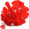 Geranium Fragrances