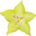 Carambola (Star Fruit) Fragrances