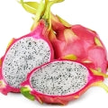 Pitahaya Fragrances - Shop inspired-by fragrances at Fragrenza