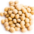 Soybean Fragrances - Shop inspired-by fragrances at Fragrenza