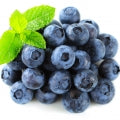 Illustration representing Blueberry Fragrances