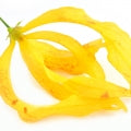 Ylang-Ylang