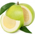 Pomelo Fragrances - Shop inspired-by fragrances at Fragrenza